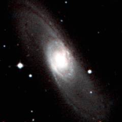 NGC 5566