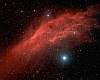 The California Nebula