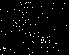 The Pisces-Cetus Supercluster